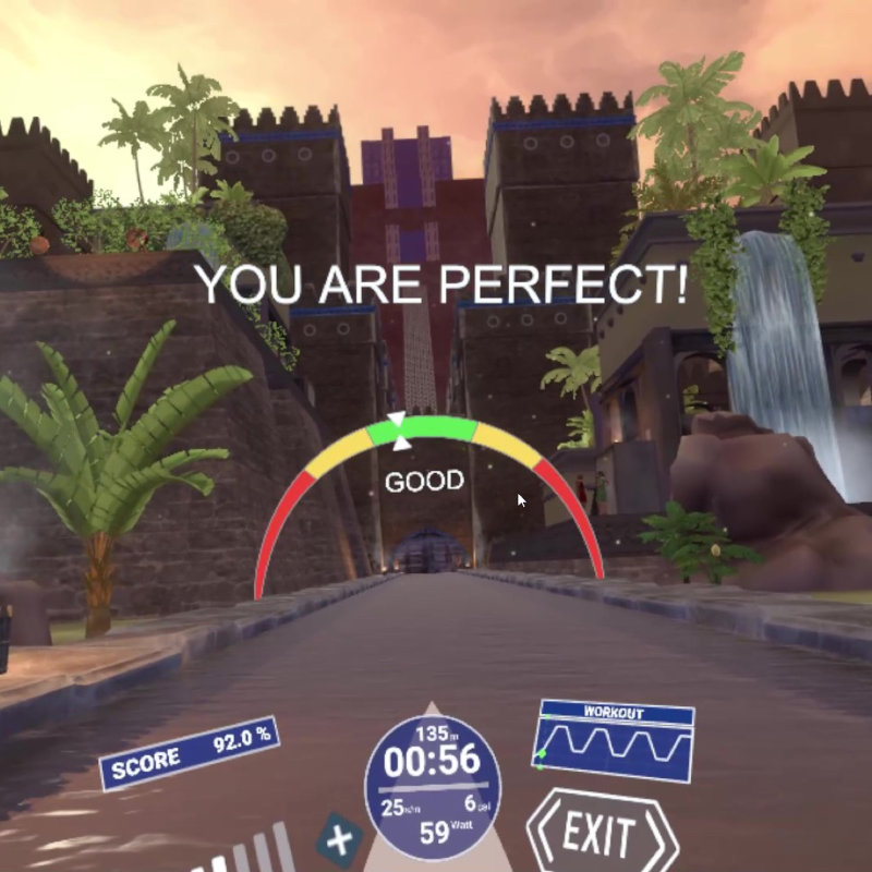 holodia_upgrade_you_are_perfect guided-virtual-rowing-workout