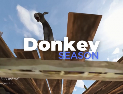 Donkey Season Challenge: Trophy Hunt